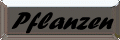 Pflanzen